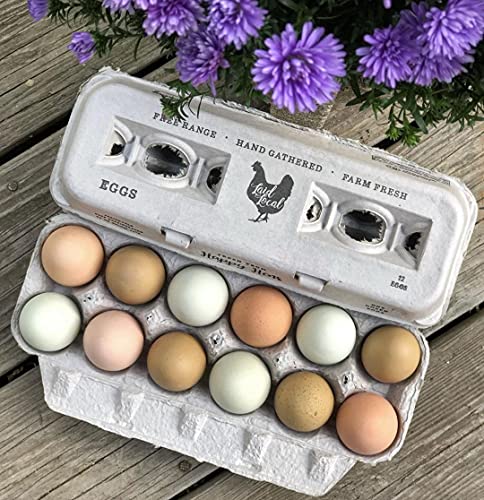 250 Egg Cartons (250 Count)