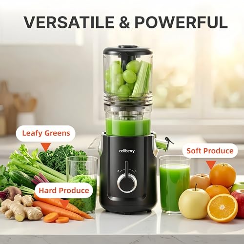 Cold Press Juicer Machines (Red)