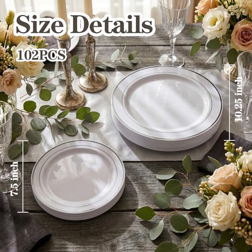 102 Pcs Silver Plastic Plates (102 Pieces / Silver)
