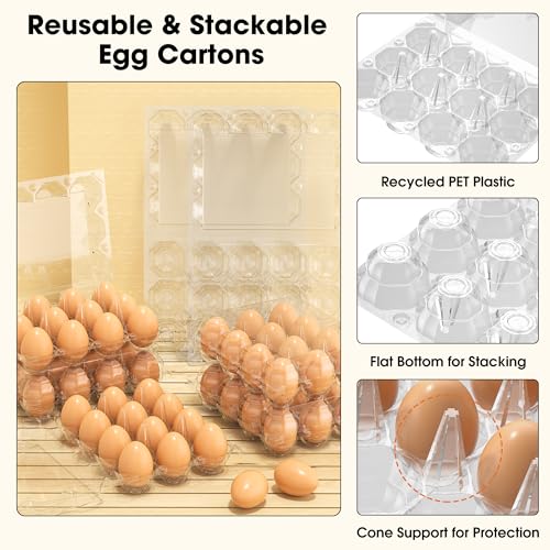80 Pack Egg Cartons Cheap Bulk (3x4-80pcs)