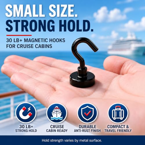 Magnetic Hooks (10 Count)