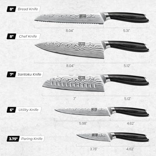 5 Pieces Knife Set (5 Pieces Knife Set)
