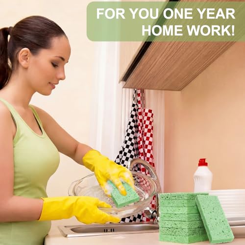 48 Pcs Sponges Bulk Sponges Kitchen Compressed Sponge (Green)