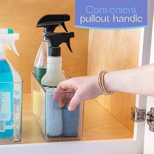 Plastic Food Storage Clear Container Bin with Handles for Organizing Kitchen (10x4x5)