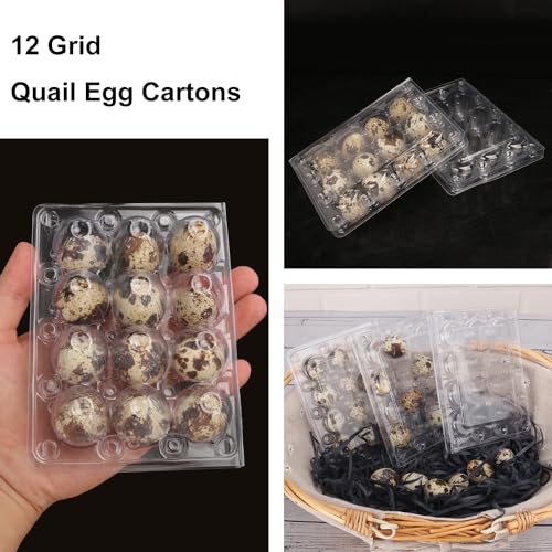 220 Pack Quail Egg Cartons (220 Count)