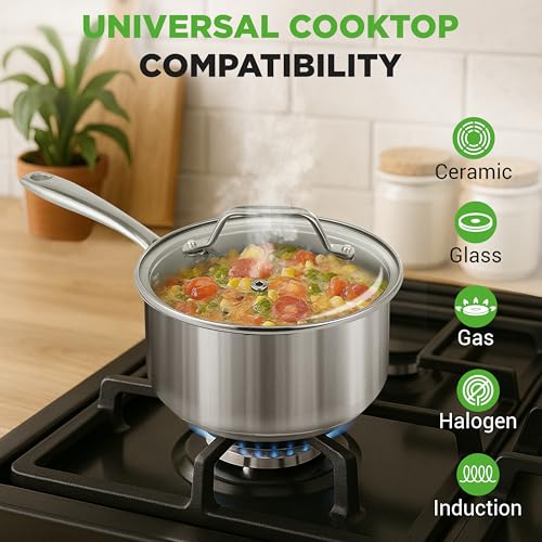 2 Quart Stainless Steel Saucepan (Stainless Steel / 2 Quarts)