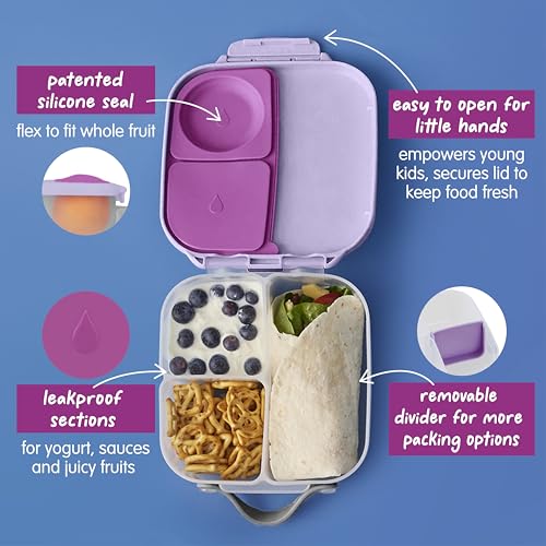 Mini Lunch Box (Sugar Plum / 1-pack)