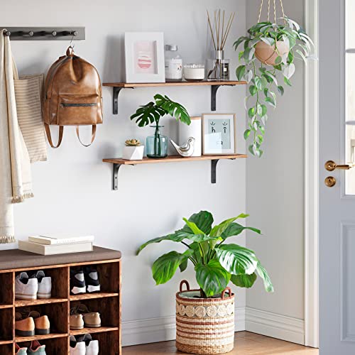 Long Wall Shelves (Rustic Brown / 23.6 Inch)