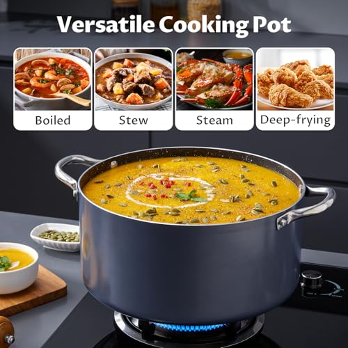6 Quart Nonstick Stock Pot with Lid