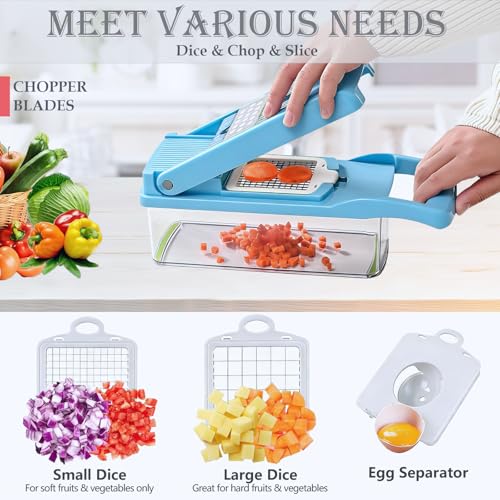 Vegetable Chopper Mandoline Slicer Home Kitchen Appliance Essential Gadget (Blue)