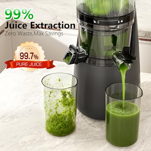 Cold Press Juicer (Grey)