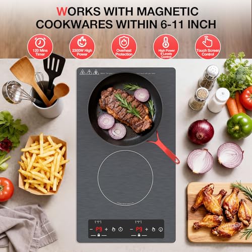 Double Induction Cooktop 110v (Gray 2 Burner)