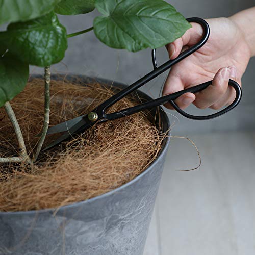 Twig Bonsai Scissors Made in Japan 210mm (Twig 8.15")