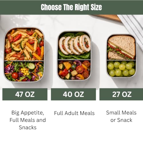 Flexibento Leak proof 47 OZ Stainless Steel Bento Box Adult Large (ZAA-Pink-47OZ-Setof2)