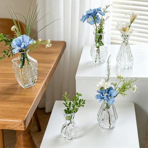 Glass Bud Vase Set of 5 Pcs Small Minimalist Vases for Flowers (Clear)