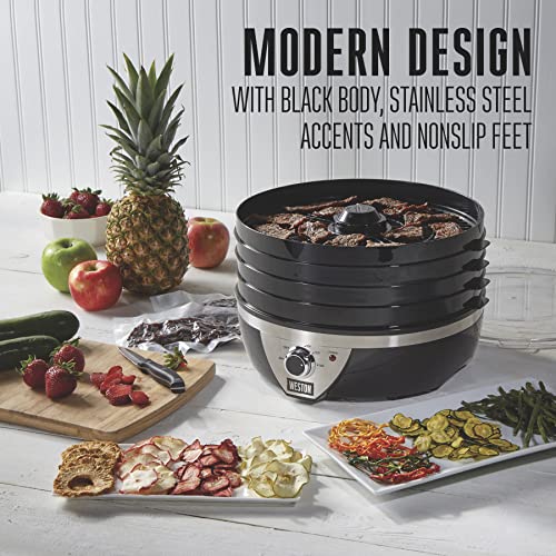 Food Dehydrator Machine for Jerky (Temperature Control (100-160F) / 4 Stackable Trays, Black & Stainless Steel Accents)