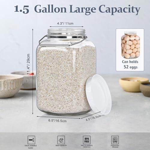 1.5 Gallon 5700 ML Glass Jar with Lid (1.5 Gallon)