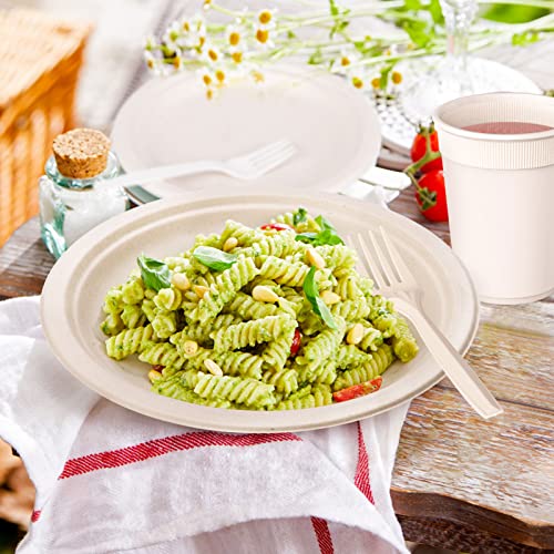 Compostable Paper Plates Napkins Set 250pcs Disposable Plates (250pcs)