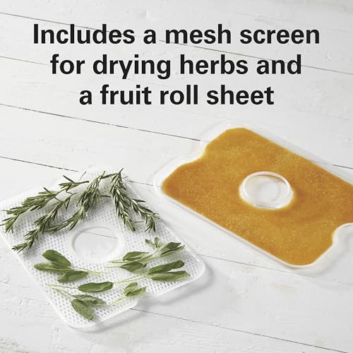 Digital Food Dehydrator for Fruit