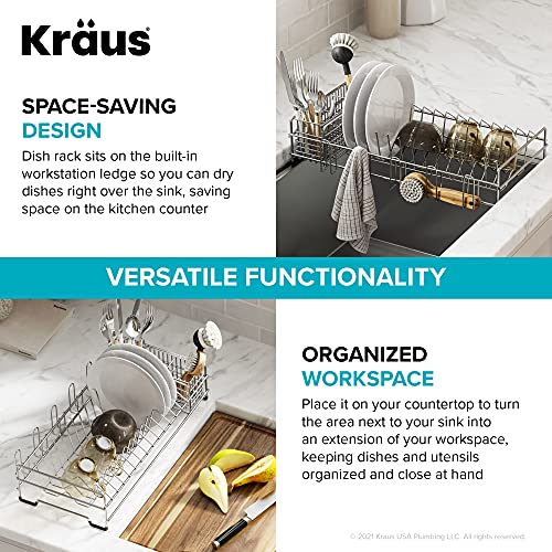 Workstation Kitchen Sink Dish Drying Rack Drainer and Utensil Holder (Dish Rack / Silver - 17 X 9 Inch)