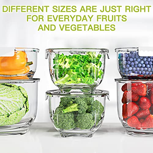 Fresh Produce Vegetable Fruit Storage Containers 3Piece Set (White Clear)