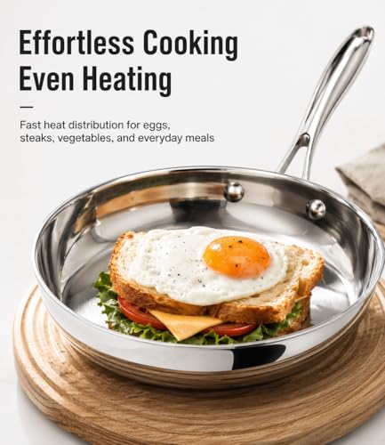 Stainless Steel Frying Pan 8 Inch with Lid (Stainless Steel / 8IN)