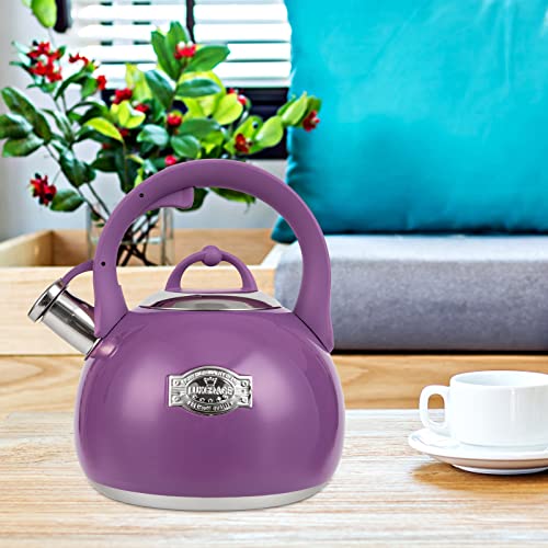 Tea Kettle for Stovetop (Purple)