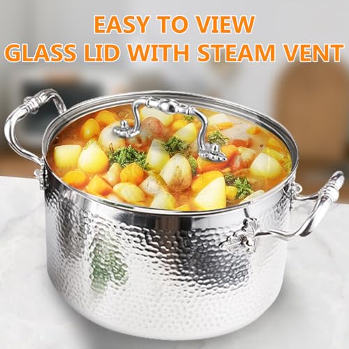 Stainless Steel Stock Pot with Visible Lid for Pasta (5.6 Quarts)
