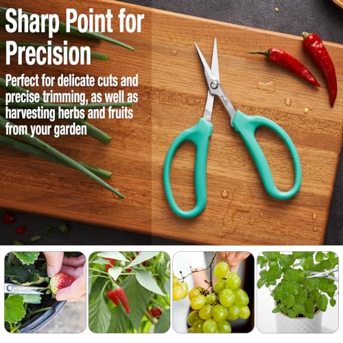 Culinary Herb Scissors