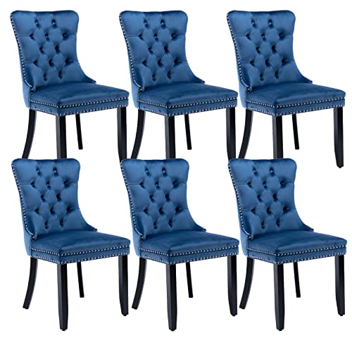 Blue Velvet Dining Chairs Set of 6 (Blue)
