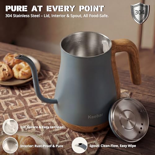 Gooseneck Electric Kettle (Blue Gray / 0.8 Quarts)