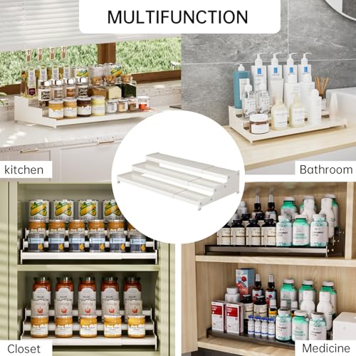 Expandable Carbon Steel Spice Rack Organizer for Pantry (2 Count)