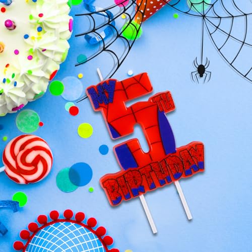 Spider Birthday Party Decorations