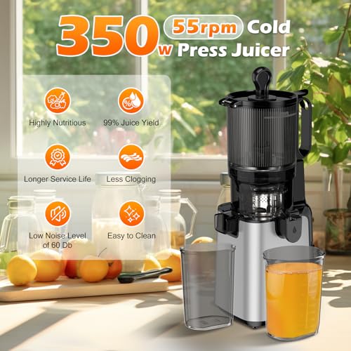 Juicer Machines with 5.8" Extra Large Feed Chute (sliver)