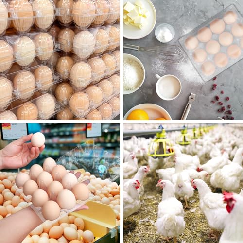 120 Pack Bulk Egg Cartons (120 Pack Egg Cartons 12 Grids 3x4)