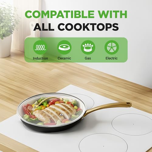 12 Inch Professional Ceramic Frying Pan With Lid (12" Frying Pan)