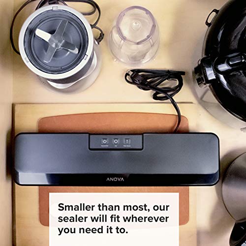 Vacuum Sealer (Includes 10 Precut Bags)