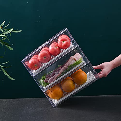Fridge Organizer