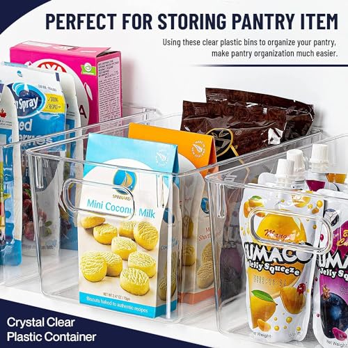 Clear Plastic Storage Bins (10 X 6 X 5.1)