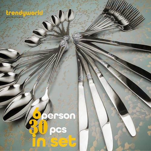 Silverware Set Limited Edition (30 Piece Flatware Set for 6 / Silver)