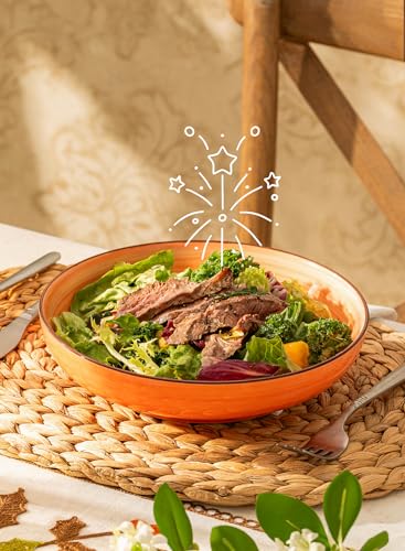 6 Pack Ceramic Pasta Bowls (Multicolor)