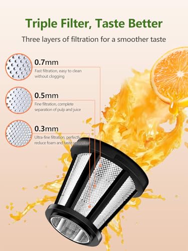 Masticating Juicer Machine 200W Slow Cold Press Extractor for Veggie (Grey)