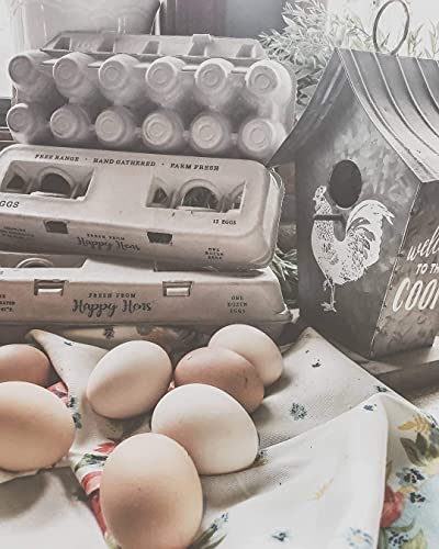 Egg Cartons Adorable Printed Design for Farm Fresh Eggs (Blank Stamping / 250)