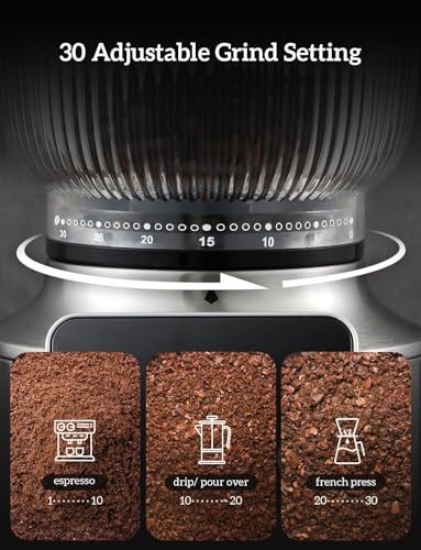 Stainless Steel Espresso Grinder with Portafilter Holder (Silver)