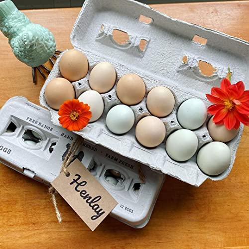 90 Egg Cartons (Locally Laid Hen / 90)
