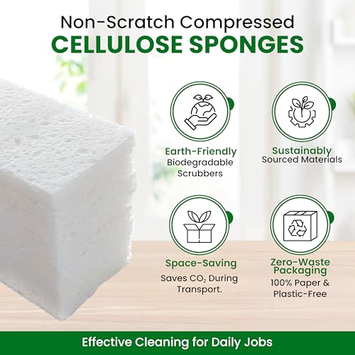 Cellulose Sponges (White)