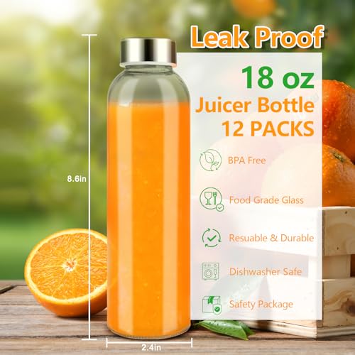 18 oz Glass Water Bottles with Stainless Steel Lids