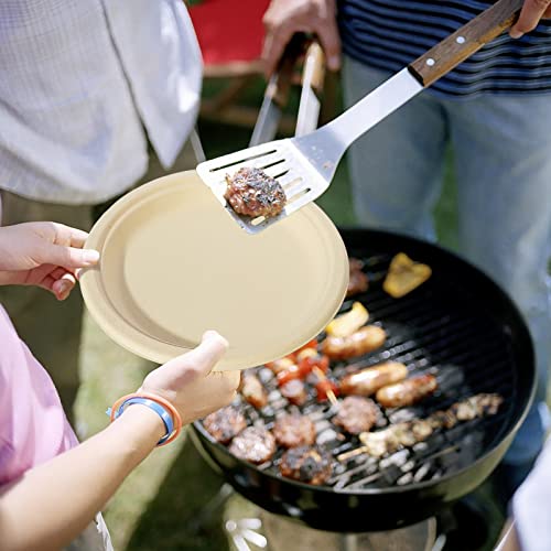Compostable 9 Inch Paper Plates (9 inch 150 Pack)