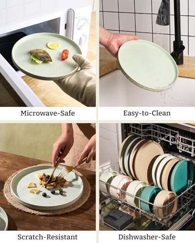 Star Stoneware Dinnerware Sets with Pasta Bowls (Light Green / Service for 4 - Double Bowls)