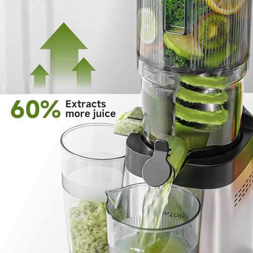 Cold Press Juicer (Silver / 5.4-inch)
